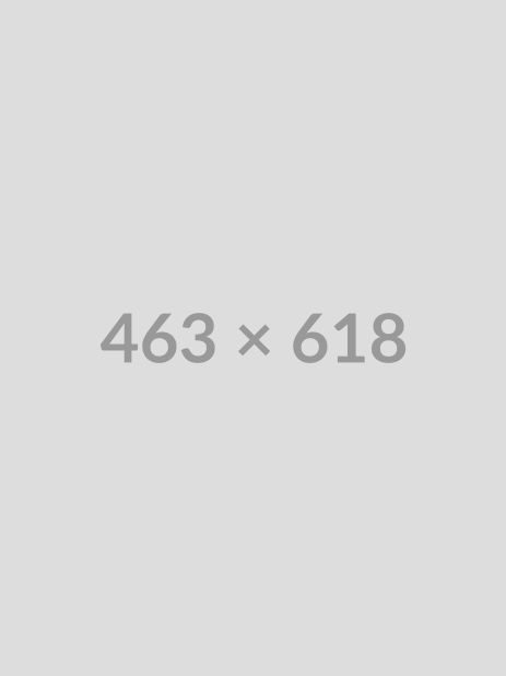 463x618